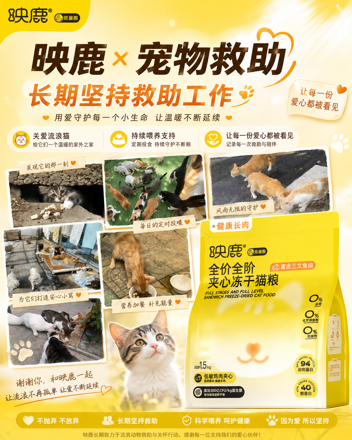 映鹿品牌长期坚持救助工作现场