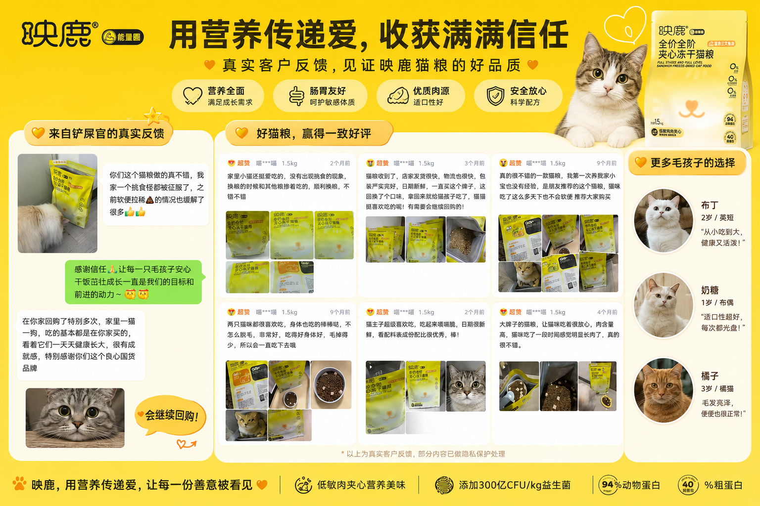 映鹿用户反馈截图合集
